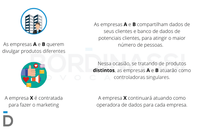 Controladoria singular