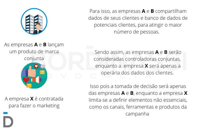 Controladoria conjunta